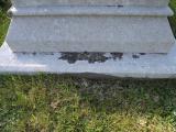 image of grave number 264841